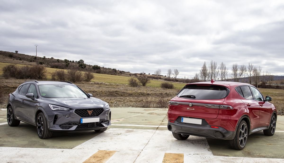 Cupra Ateca vs Alfa Romeo Tonale